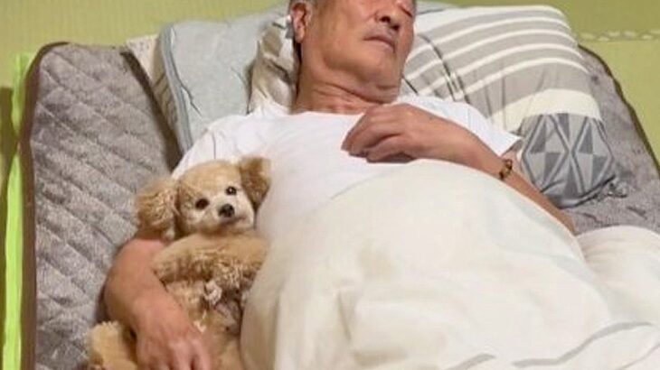 『犬を飼うなら出ていく』と言っていた父…現在の姿が682万再生の大反響「相思相愛で笑った」「むしろ一番仲良さそう笑」絶賛続々(ブログ)