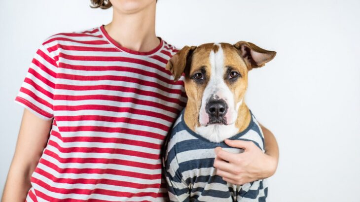 犬は『しましま模様』が苦手？ボーダー柄の服を着るのは避けたほうがいいってホント？(ブログ)