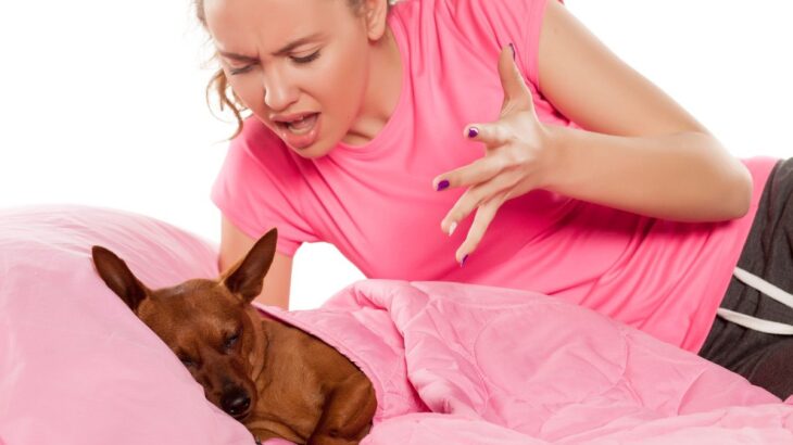 『警戒している犬』にしてはいけないNG行為3つ　愛犬とのトラブルを防ぐために注意すべきこととは(ブログ)