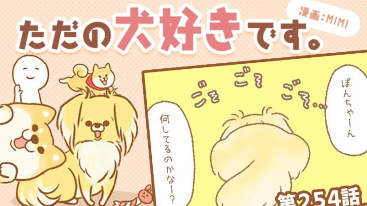 ただの犬好きです。【第254話】「そこだったのか」(ブログ)
