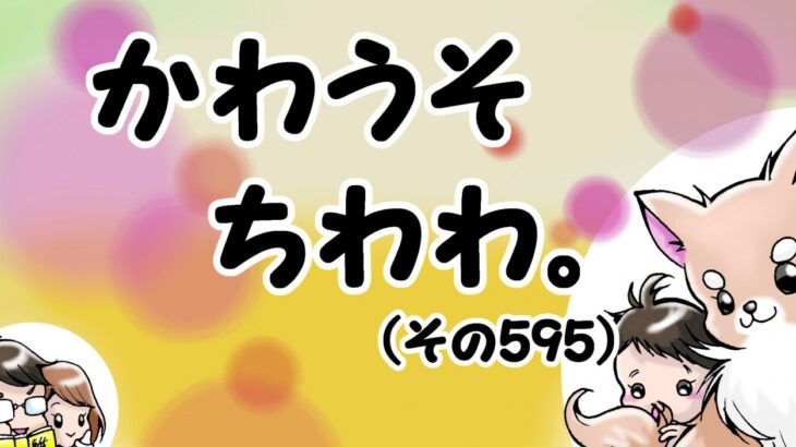 かわうそちわわ。【その595】「足裏の毛ボーボー問題」(ブログ)