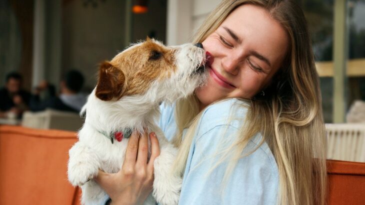 愛犬が飼い主に伝える『6つの大好きサイン』可愛すぎる行動にほっこりすること間違いなし(ブログ)