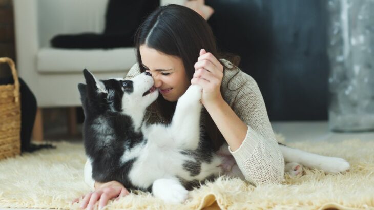 愛犬を『甘えん坊』にする方法とは？人懐っこく育てるコツや注意すべきことまで解説(ブログ)