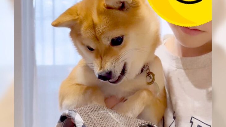 犬のお散歩に行こうとしただけなのに…『人間の言葉』で拒否する光景がおもしろすぎると222万再生「完全に喋ってる」「アフレコかと」(ブログ)