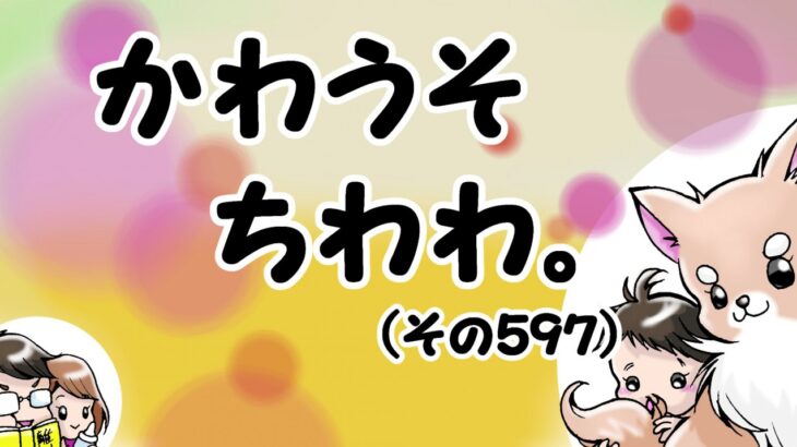 かわうそちわわ。【その597】「ボーロの雨」(ブログ)