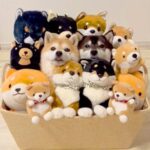 どれが本物？『柴犬の詰め合わせ』を作ってみたら…完全に溶け込んでしまう光景が665万再生「一瞬わかんなかった」「もはや芸術」(ブログ)