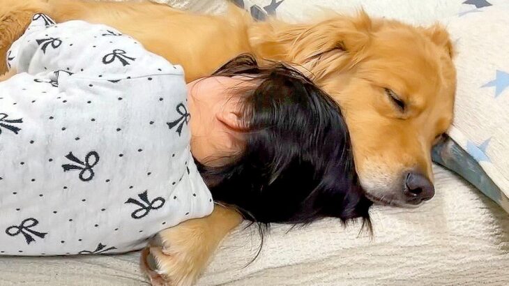 大型犬が『世界一大切そうに抱えて』眠っているのは…「涙出そう」「破壊力がすごい」最強にかわいいコンビが159万再生を突破(ブログ)
