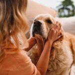 犬への『絶対NGワード』３選　言ってはいけない言葉とかけるべき言葉とは？(ブログ)