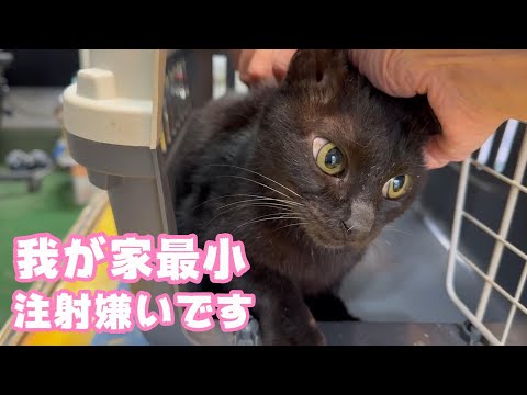 お注射嫌いです 怖いです  2024 03 09 2(YouTube)