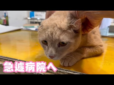急遽病院へ  2024 03 25 2(YouTube)