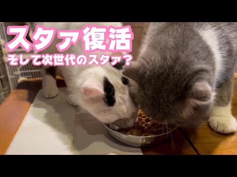 スタァ復活 そして次世代のスタァか？  2024 03 09 1(YouTube)
