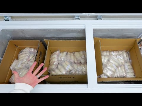 蛇の餌の冷凍ラットが500匹届きました(YouTube)