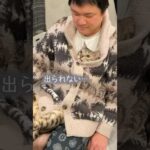 何もしていないのに可哀想な声で鳴く猫  #ルトロゼ #ベンガル #猫(YouTube)