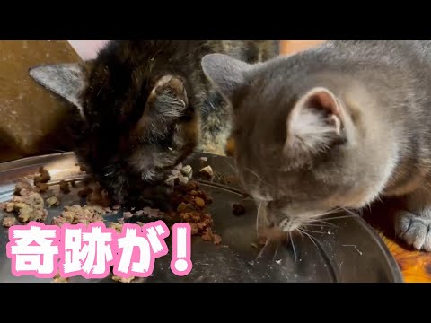 奇跡が！生きてこそ  2024 03 08 1(YouTube)