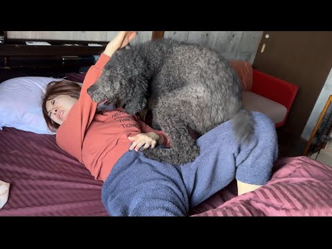 私たちは起きないママを一瞬で起こす方法を知っています。(YouTube)