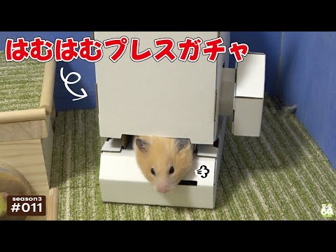ハムスターをプレスしてぺちゃんこにするガチャ(YouTube)