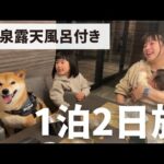 柴犬を連れスロー旅へ。人間のような”おもてなし”をとことん味わってもらいました｜お伽噺(YouTube)