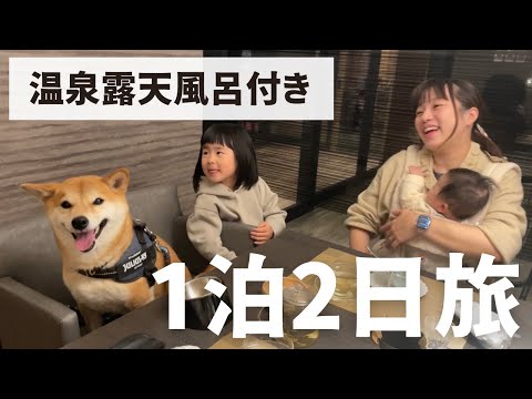 柴犬を連れスロー旅へ。人間のような”おもてなし”をとことん味わってもらいました｜お伽噺(YouTube)
