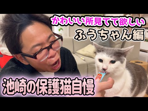 みんなのアイドルふうちゃんのかわいいところを見てて欲しい！サンシャイン池崎の保護猫ライフ(YouTube)