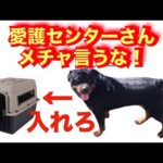 【殺処分決定】ロットワイラー搬送用バリケンのお願い(YouTube)
