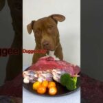 今日も生肉を爆食いするピットブル #咀嚼音 #ピットブル(YouTube)