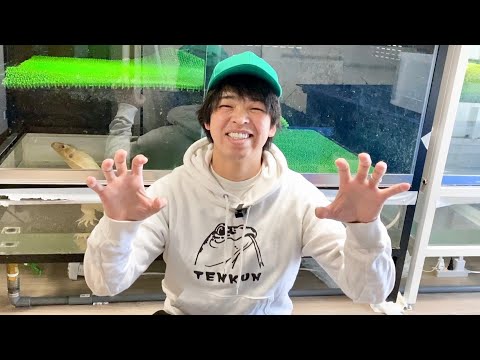 6個お知らせがあります！(YouTube)