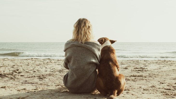 犬が体を擦りつけてくる心理7選　愛情表現？愛犬がスリスリしてくるワケとは(ブログ)