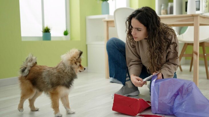 愛犬にイライラしやすい瞬間とは？主な原因や気持ちを切り替えるために飼い主がすべきこと(ブログ)