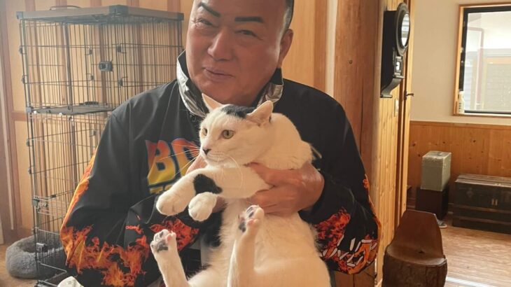 【奇跡のご対面】細川たかし師匠に激似の猫ちゃん、なんとご本人が家にやって来てビックリしてしまう(ブログ)