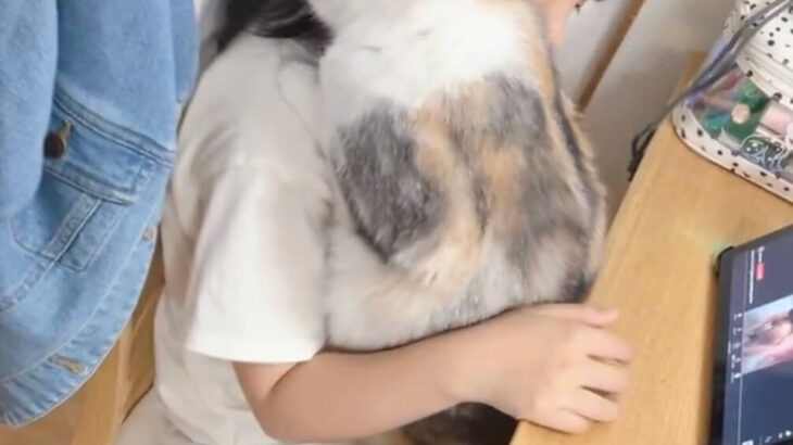 お風呂上がりの娘さんにスキスキが止まらない猫ちゃん、あまりの求愛っぷりに羨ましがる人が続出(ブログ)