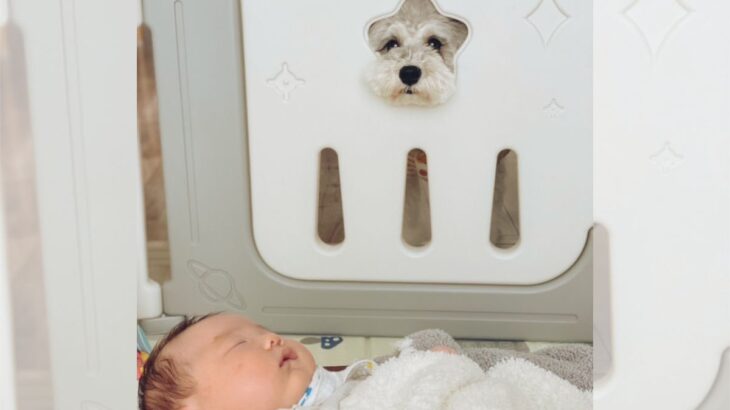 見守り隊参上！赤ちゃんを見守るワンコがお星さま化してると話題(ブログ)