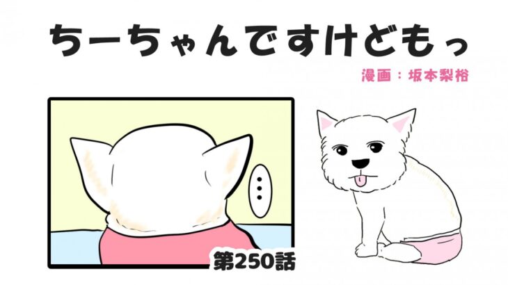 ちーちゃんですけどもっ【第250話】「犬の後頭部の可愛さ」(ブログ)