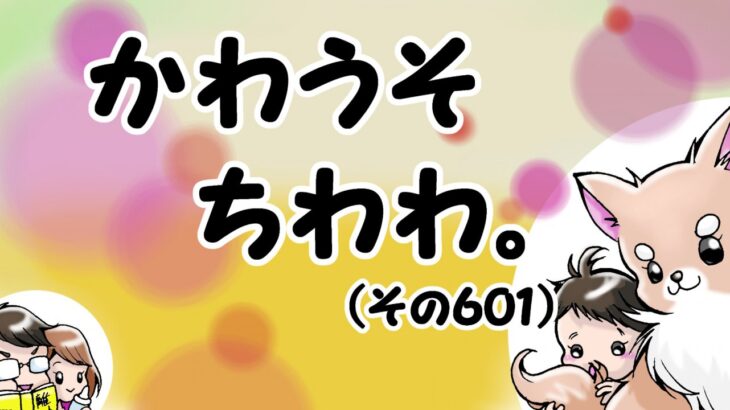 かわうそちわわ。【その601】「朝と夜の差が激しい」(ブログ)