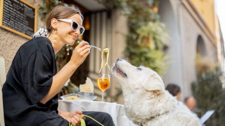 犬を人間のように扱うのが絶対NGな理由3選　愛犬を危険にさらしている可能性も…(ブログ)