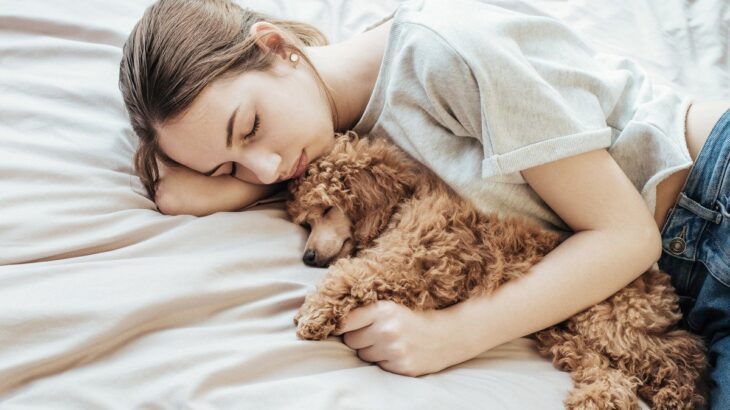 『愛犬が死ぬ夢』を見る意味とは？状況別でわかる飼い主の精神状態や暗示について解説(ブログ)