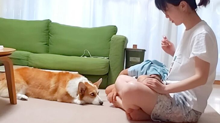 『耳掃除好きな犬』が見せた驚きの行動…まさかの”順番待ち”する姿が114万再生「自分を犬と思ってない」「うちのは嫌がりますｗ」(ブログ)