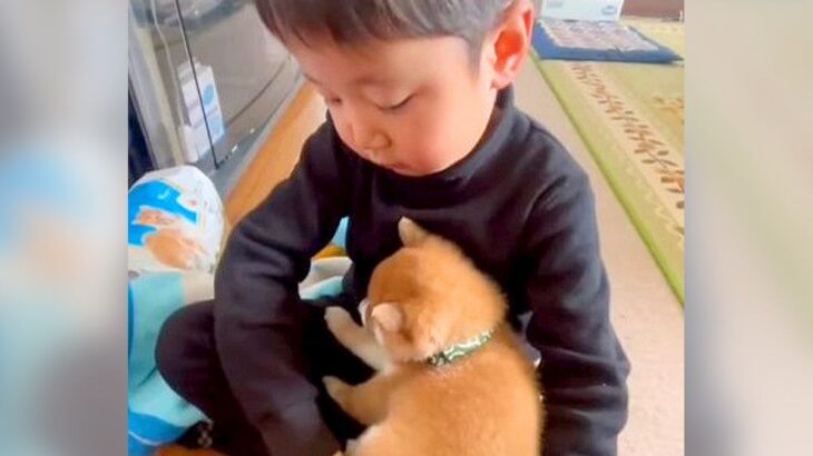 小さな男の子が赤ちゃん犬にした『世界一やさしいトントン』が106万再生を突破 「泣けてきた」「両方とも天使」平和すぎる光景に感動の声(ブログ)