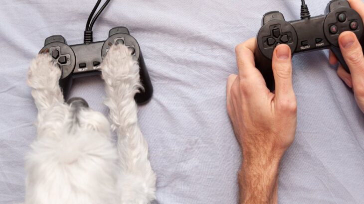 「犬はビデオゲームをプレーできるか」研究が進行中　犬用ビデオゲームの普及は意外と近い未来かも？(ブログ)