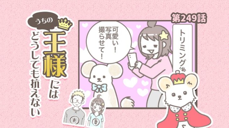 うちの王様にはどうしても抗えない【第249話】「疑わないで」(ブログ)