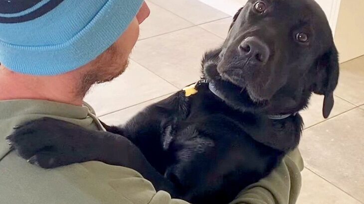 大型犬とハグの練習をした結果…『家族によって態度が違いすぎる姿』が面白かわいいと1万7000再生「人間の子どもみたいｗ」爆笑の声も(ブログ)