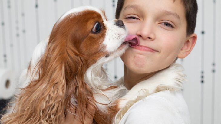 犬との『キス』が危険な理由３つ　感染症のリスクや日頃からできる対策とは(ブログ)