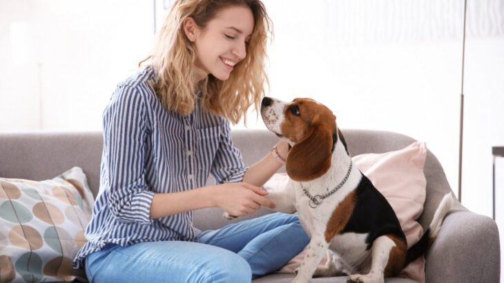 犬が飼い主に『甘えたい』ときにする行動5つ　可愛すぎる理由や甘えてもらうための方法まで(ブログ)
