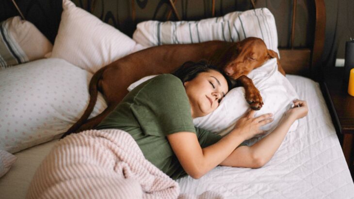 犬といっしょに寝ることは睡眠の質を下げる可能性　アメリカの心理学研究チームが1600人の成人を対象に調査(ブログ)