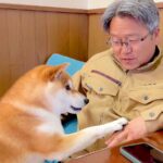 犬とお父さんを撮影したら…まさかの『会話が成り立っている光景』がコントのようだと45万再生「もしや人間ですか？」「犬語かわいい」(ブログ)