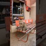 【Cat island】タバコ屋の猫、ちょっと強面だけど実は凄い甘えん坊だった(YouTube)