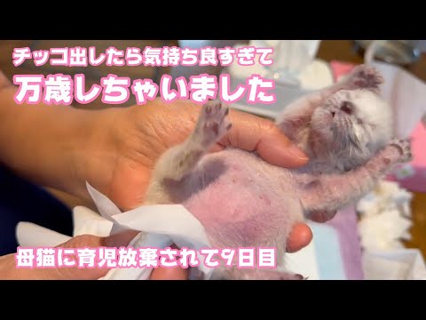 チッコ出したら気持良すぎて万歳しちゃいました  2024 04 10 2(YouTube)