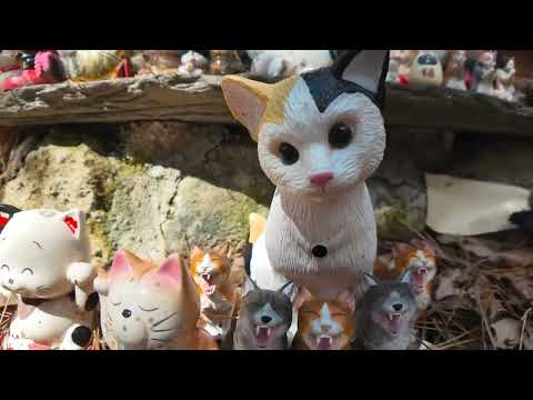 猫神社の守り人の黒猫とハチワレ猫がカワイイ(YouTube)