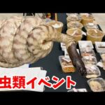 東京ビッグサイトで行われた日本最大級の爬虫類イベントが楽しすぎたので沢山生体を撮影してきました(YouTube)
