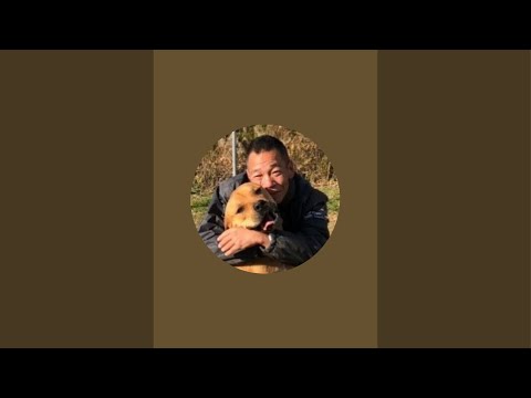 攻撃的なロットワイラーとゲリラライブ(YouTube)