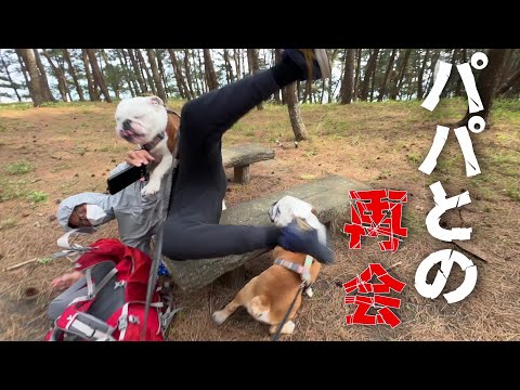 ２週間ぶりのパパとの再会にドッキリを仕掛けるも全部台無しにして襲い掛かるブルドッグがこちら！(YouTube)